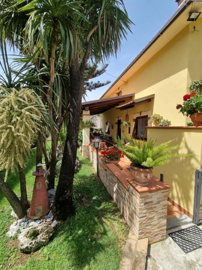Bed and Breakfast Il Ruscello Маратея Экстерьер фото
