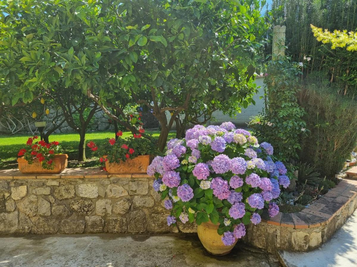 Bed and Breakfast Il Ruscello Маратея Экстерьер фото