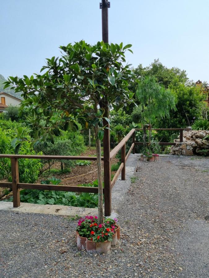 Bed and Breakfast Il Ruscello Маратея Экстерьер фото