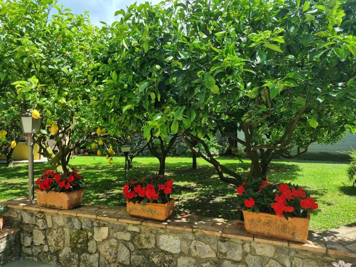 Bed and Breakfast Il Ruscello Маратея Экстерьер фото