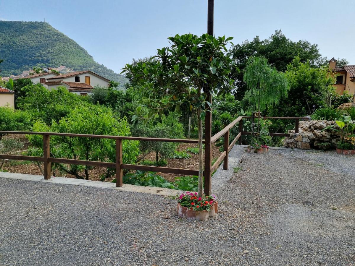 Bed and Breakfast Il Ruscello Маратея Экстерьер фото