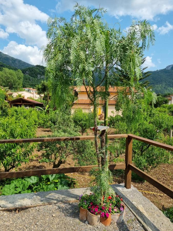 Bed and Breakfast Il Ruscello Маратея Экстерьер фото